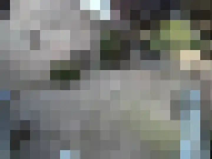 Baandert 65 Sittard thumbnail 6