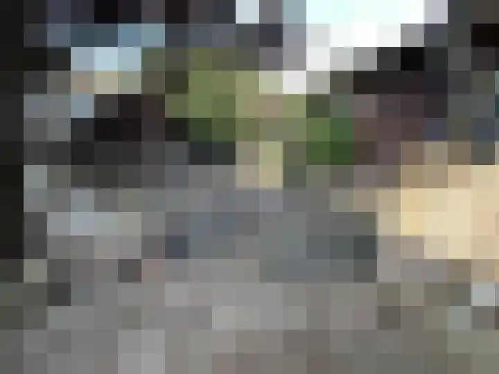 Baandert 65 Sittard thumbnail 7