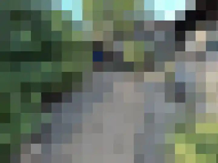 Baandert 65 Sittard thumbnail 9