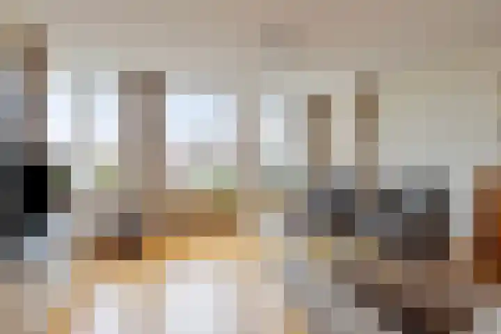 Baandervesting 51 Edam thumbnail 11