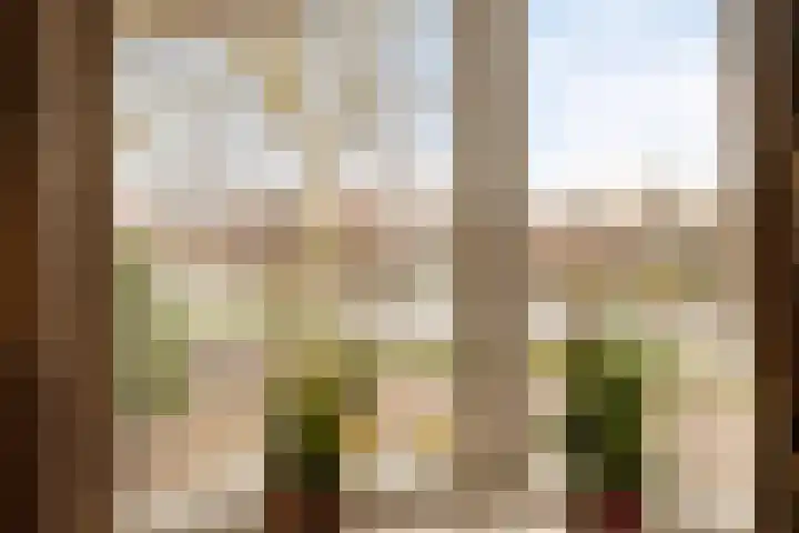 Baandervesting 51 Edam thumbnail 12