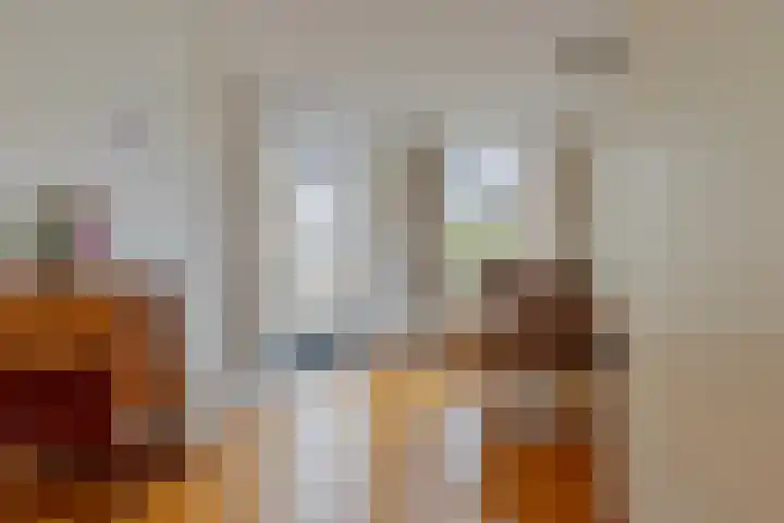 Baandervesting 51 Edam thumbnail 13