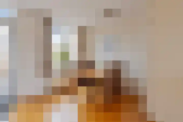 Baandervesting 51 Edam thumbnail 14