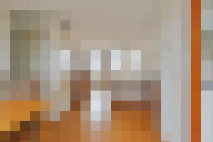 Baandervesting 51 Edam thumbnail 15