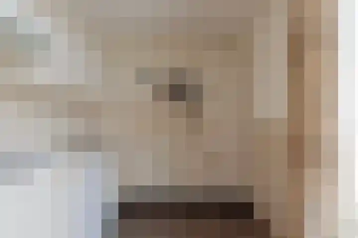 Baandervesting 51 Edam thumbnail 17