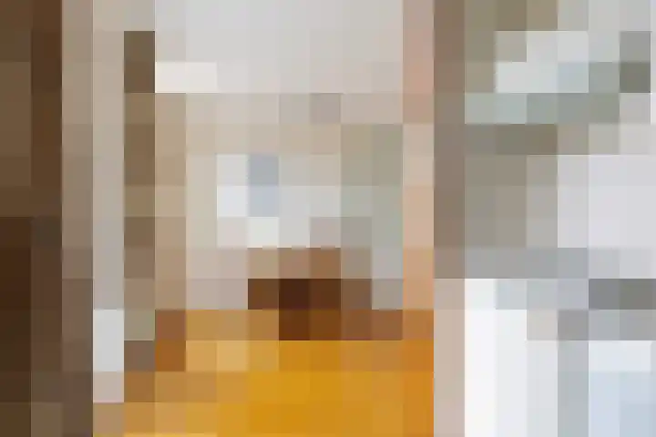 Baandervesting 51 Edam thumbnail 19