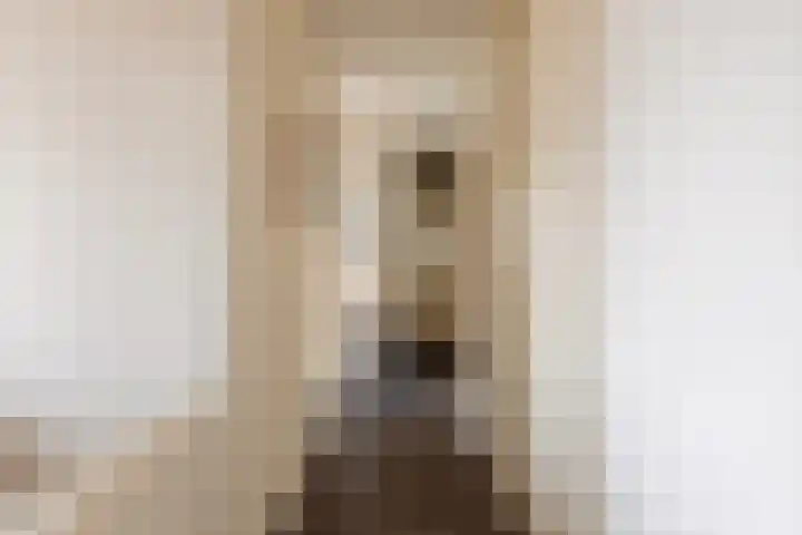 Baandervesting 51 Edam thumbnail 20