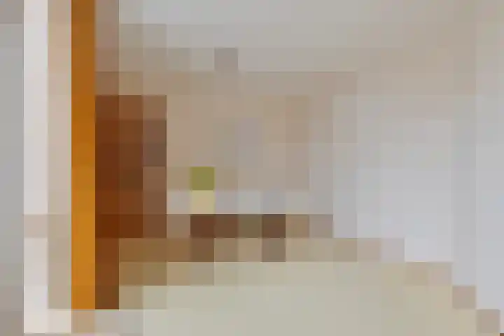 Baandervesting 51 Edam thumbnail 21