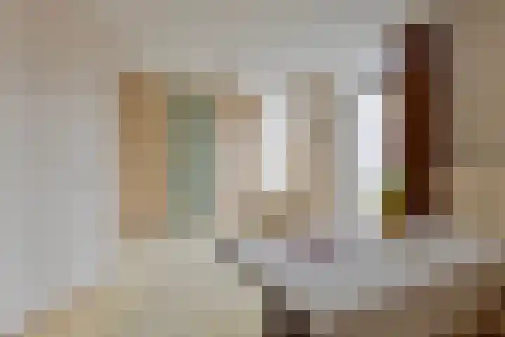 Baandervesting 51 Edam thumbnail 22