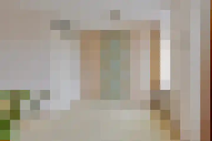 Baandervesting 51 Edam thumbnail 22