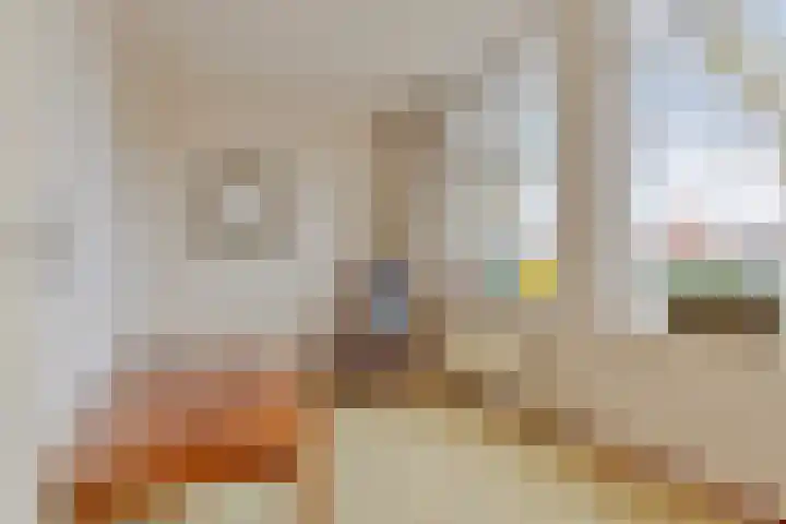 Baandervesting 51 Edam thumbnail 27