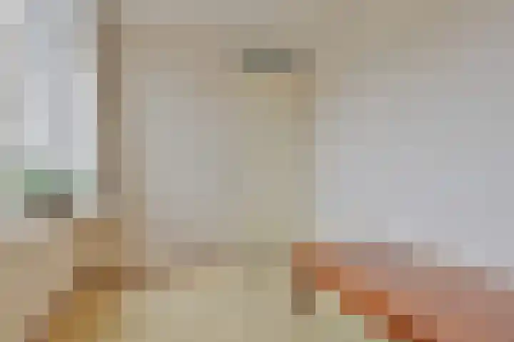 Baandervesting 51 Edam thumbnail 29