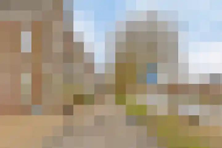 Baandervesting 51 Edam foto 3