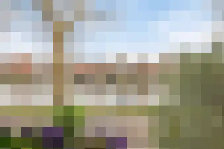 Baandervesting 51 Edam thumbnail 30