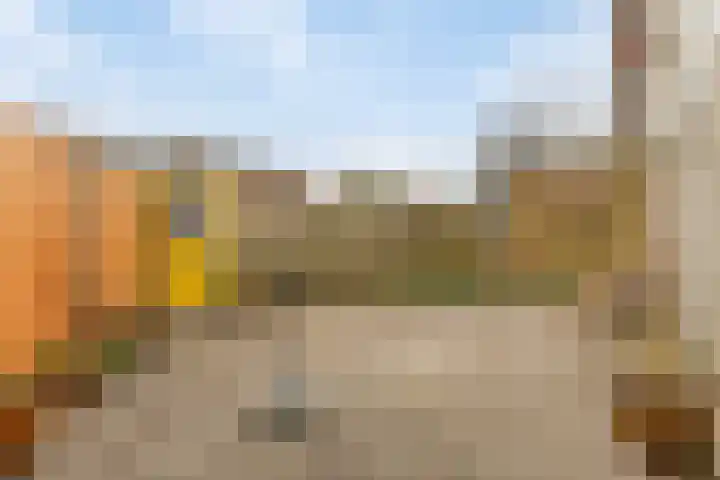 Baandervesting 51 Edam thumbnail 30