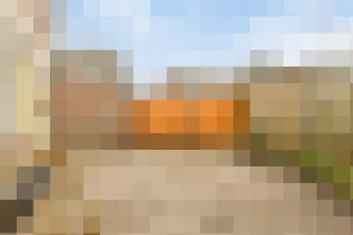 Baandervesting 51 Edam thumbnail 32