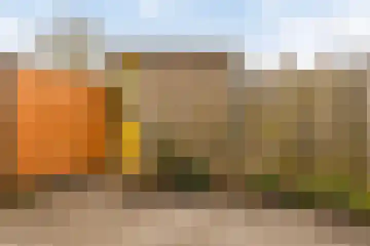 Baandervesting 51 Edam thumbnail 33