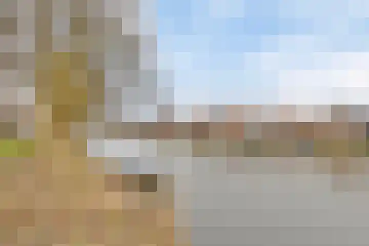 Baandervesting 51 Edam thumbnail 34