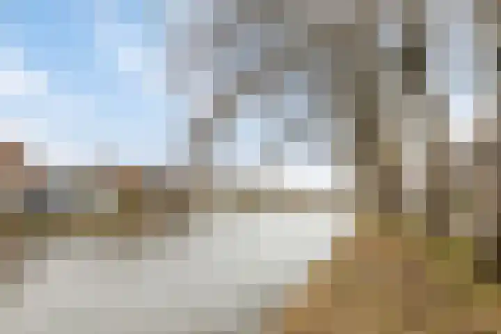 Baandervesting 51 Edam thumbnail 36