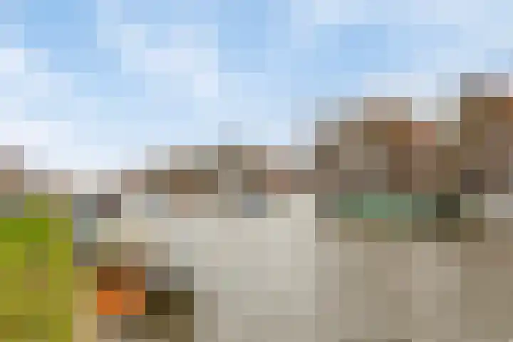 Baandervesting 51 Edam thumbnail 35