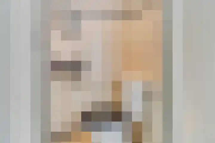 Baandervesting 51 Edam thumbnail 36