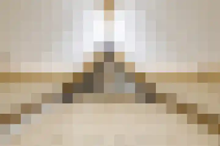 Baandervesting 51 Edam thumbnail 37