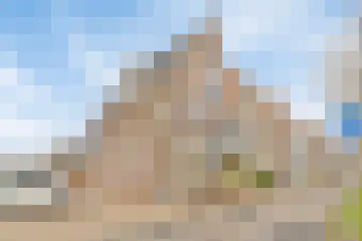 Baandervesting 51 Edam thumbnail 4