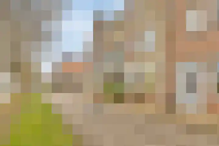 Baandervesting 51 Edam thumbnail 5