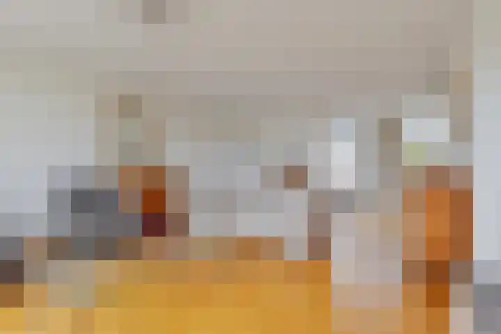 Baandervesting 51 Edam thumbnail 8