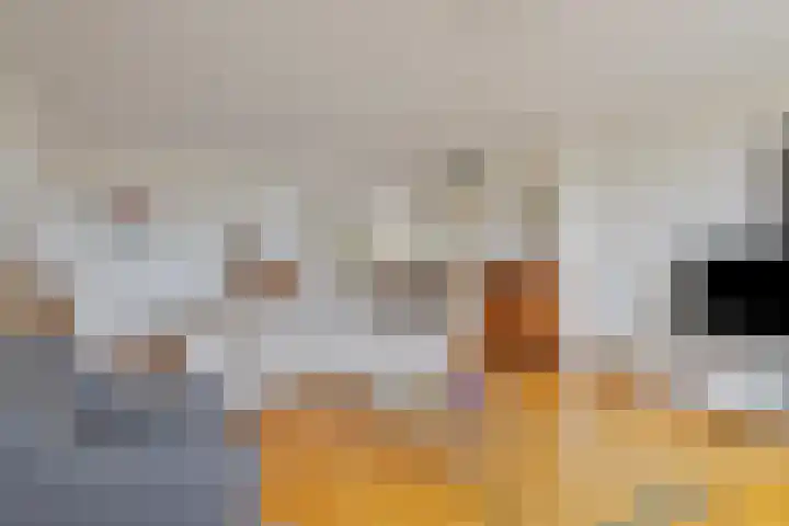 Baandervesting 51 Edam thumbnail 9