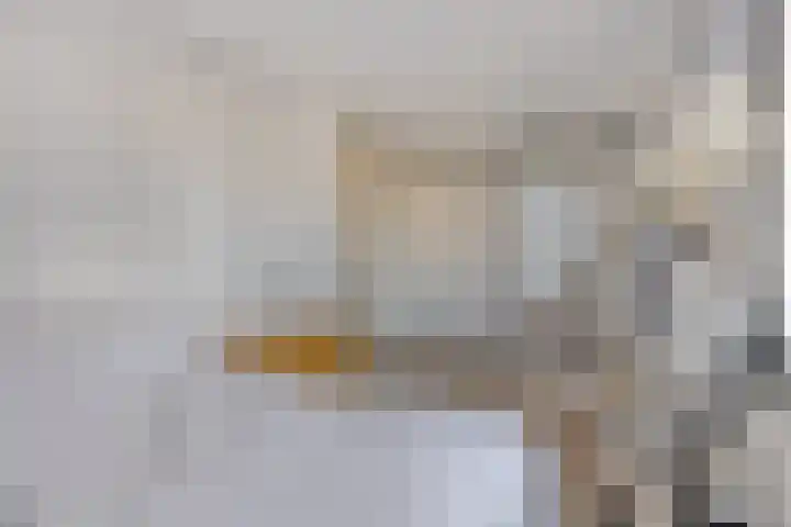 Baandervesting 81 Edam thumbnail 18