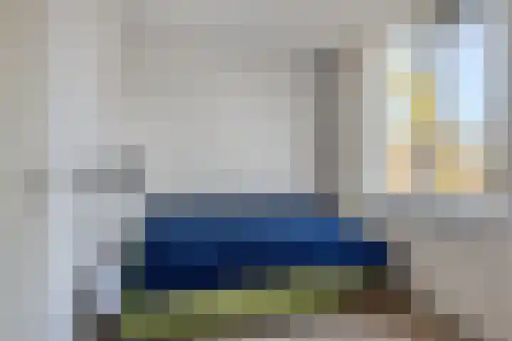 Baandervesting 81 Edam thumbnail 21