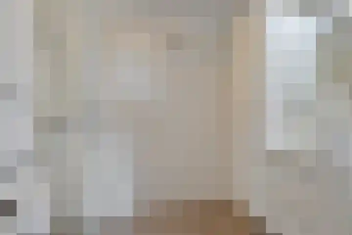 Baandervesting 81 Edam thumbnail 22