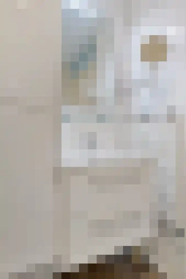 Baandervesting 81 Edam thumbnail 23