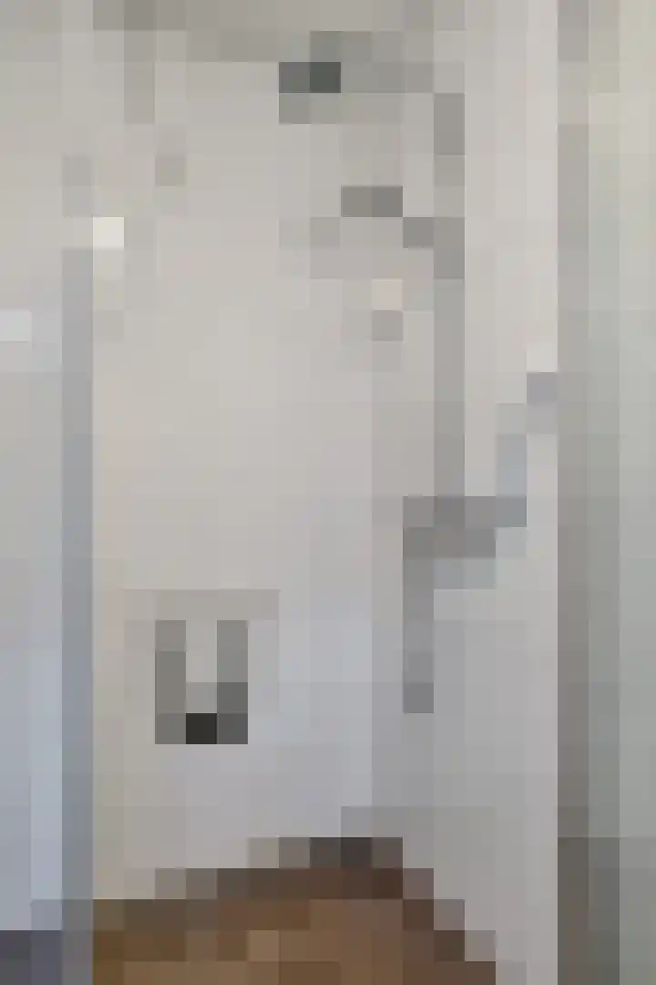 Baandervesting 81 Edam thumbnail 24