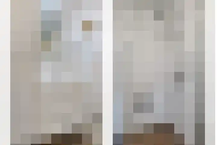 Baandervesting 81 Edam thumbnail 25