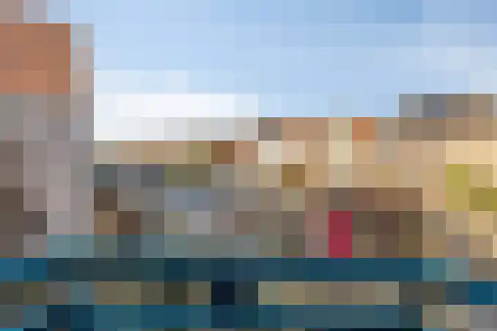 Baandervesting 81 Edam thumbnail 29