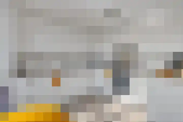 Baandervesting 81 Edam foto 3