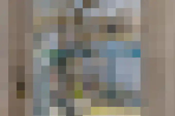 Baandervesting 81 Edam thumbnail 30