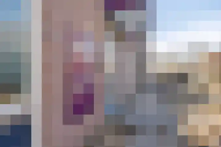 Baandervesting 81 Edam thumbnail 35