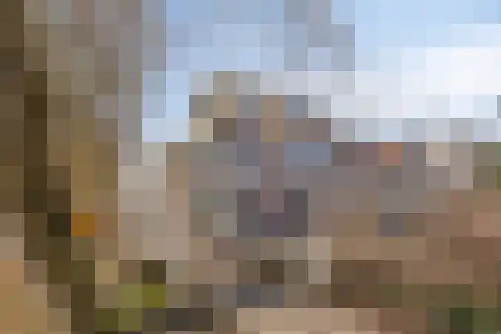 Baandervesting 81 Edam thumbnail 38