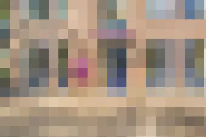 Baandervesting 81 Edam thumbnail 4