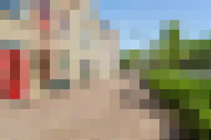 Baandervesting 81 Edam thumbnail 40