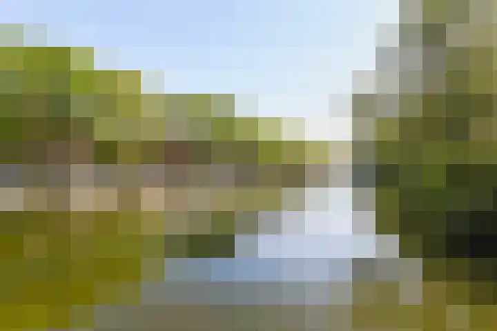 Baandervesting 81 Edam thumbnail 43