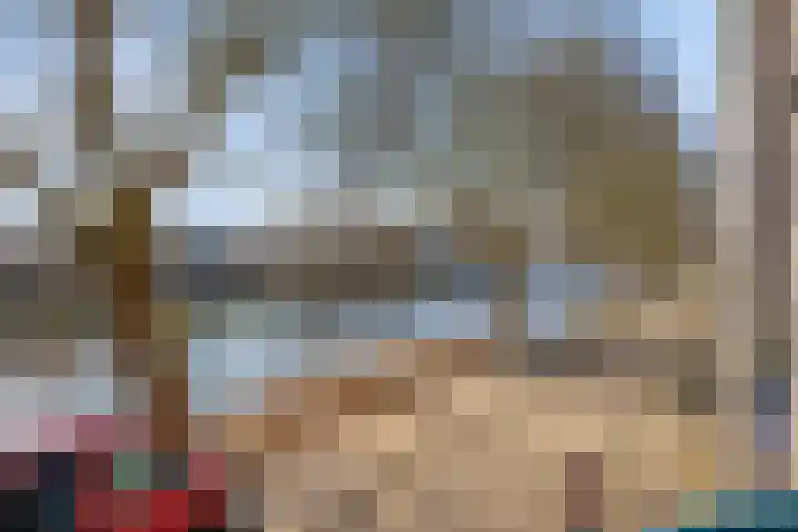 Baandervesting 81 Edam thumbnail 45