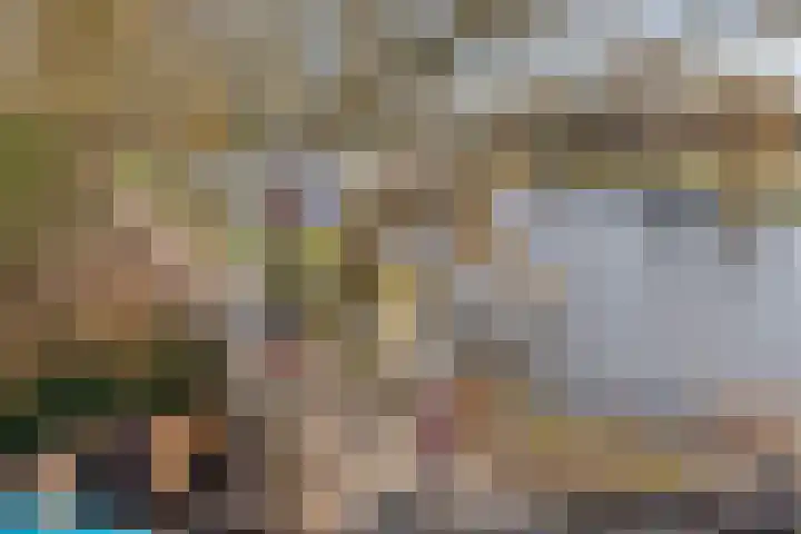 Baandervesting 81 Edam thumbnail 46