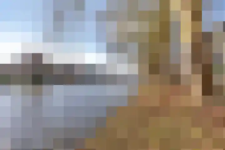 Baandervesting 81 Edam thumbnail 47