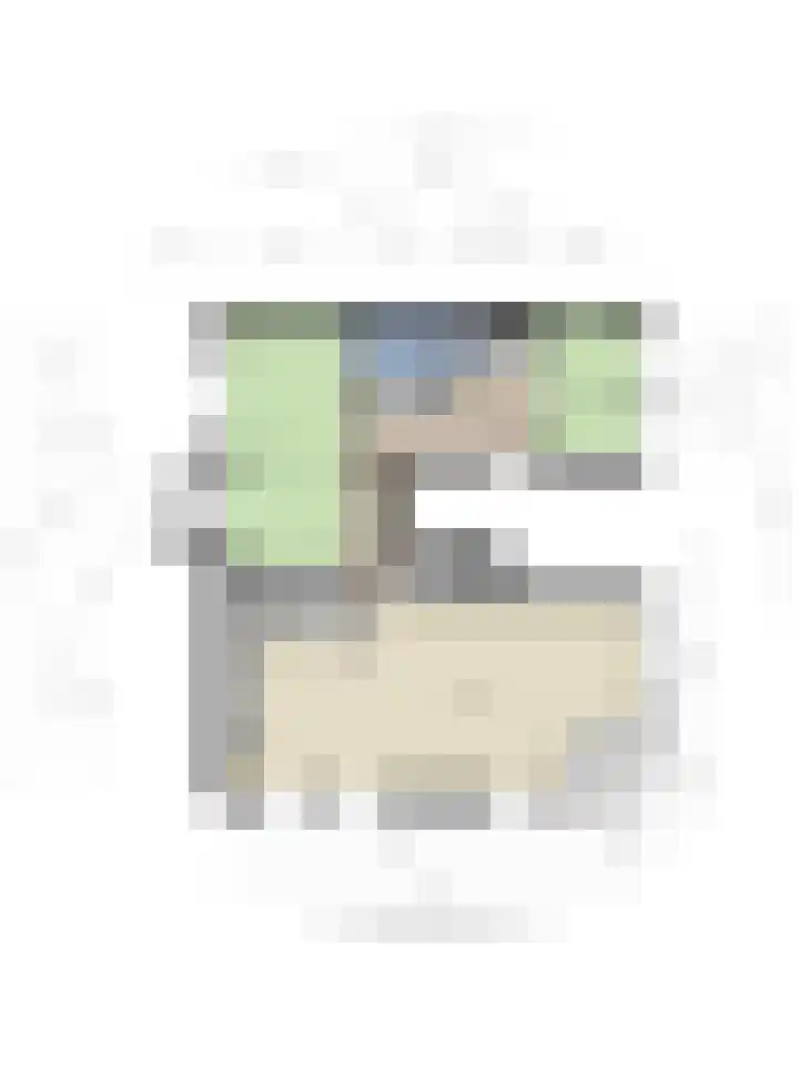 Baandervesting 81 Edam thumbnail 55