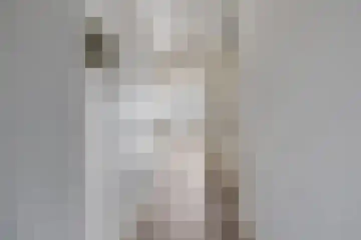 Baandervesting 81 Edam thumbnail 7