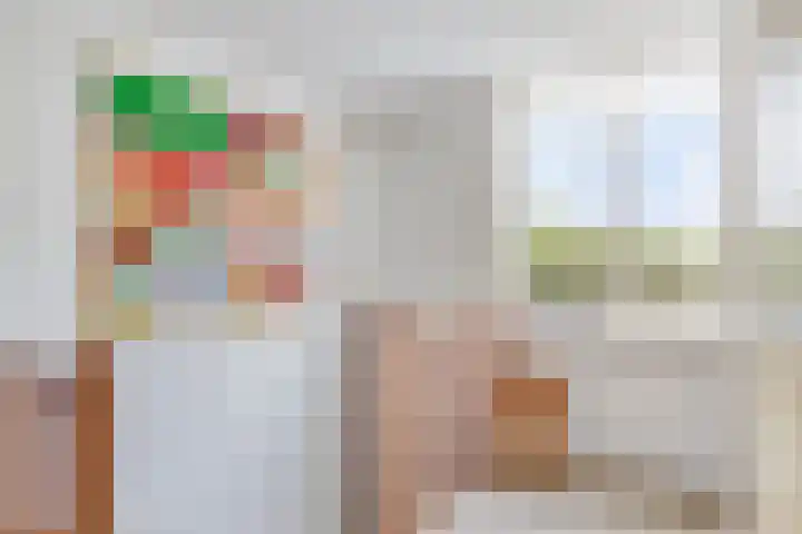 Baandervesting 90 Edam thumbnail 10